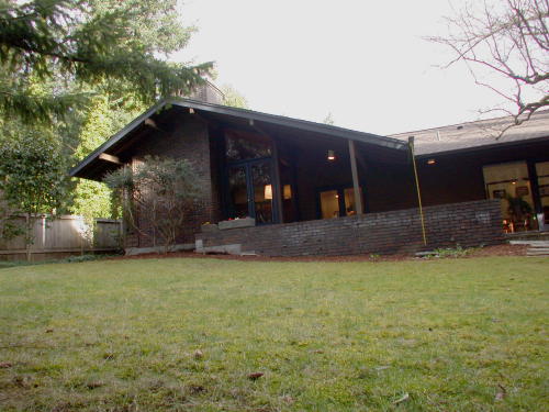 Lower level fireplace